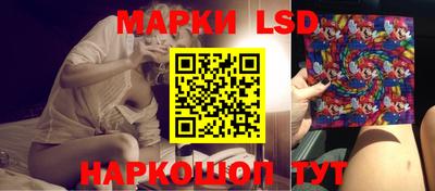 стафф Будённовск