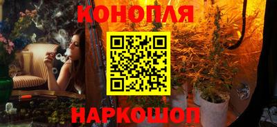 стафф Будённовск