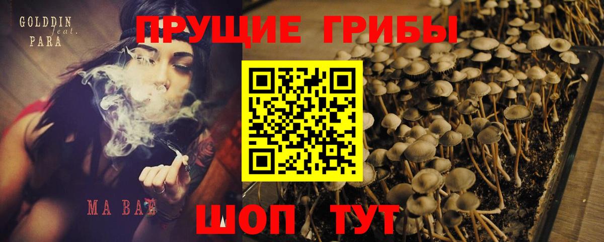 Фролово  Галлюциногенные грибы Psilocybine cubensis  Вход с VPN  Псилоцибиновые грибы Magic Shrooms 